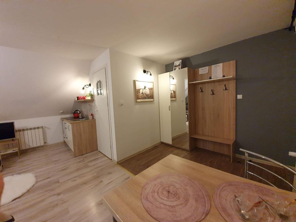 זקופאנה Apartament Jaskier מראה חיצוני תמונה